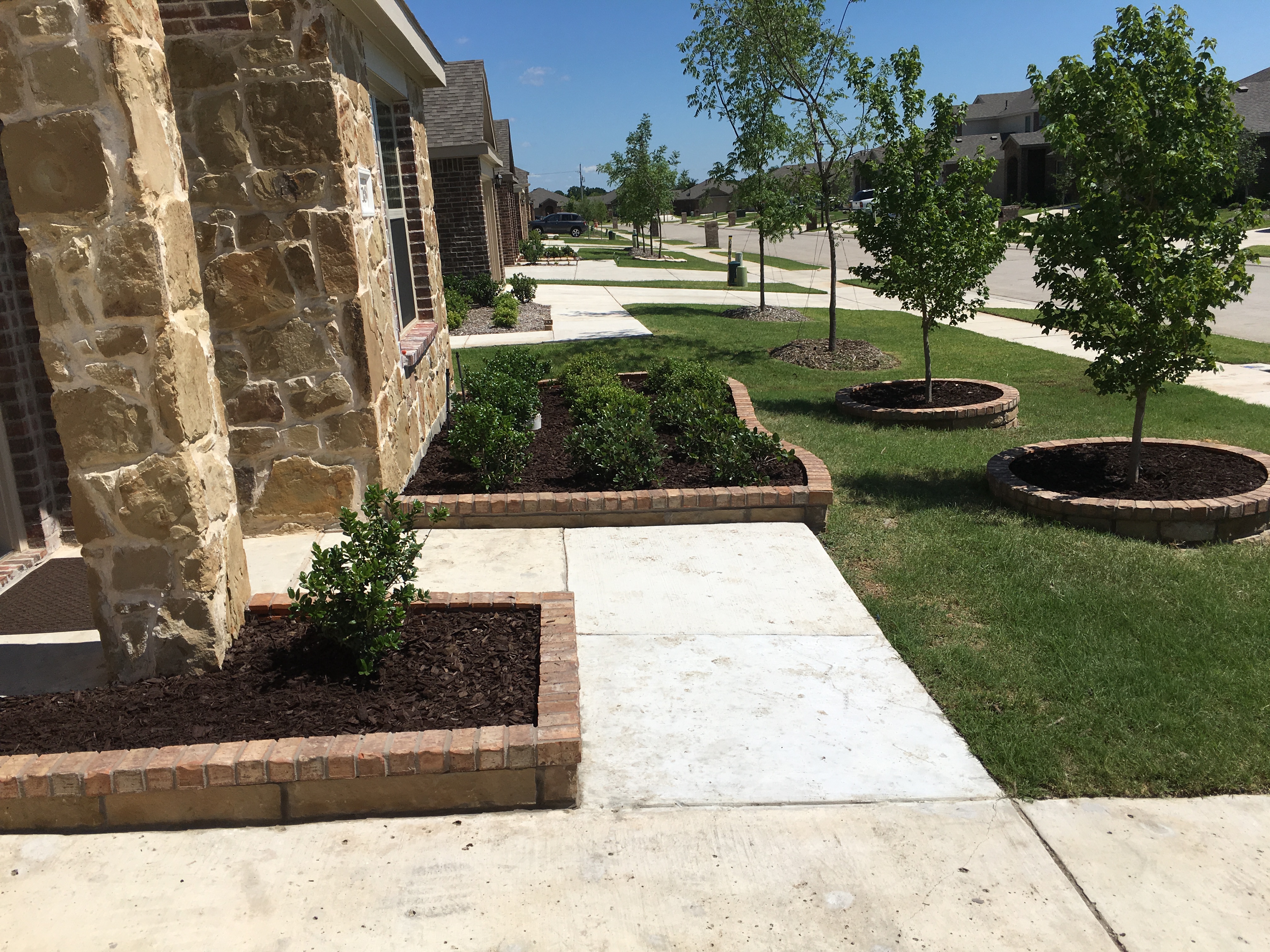 Landscaping project