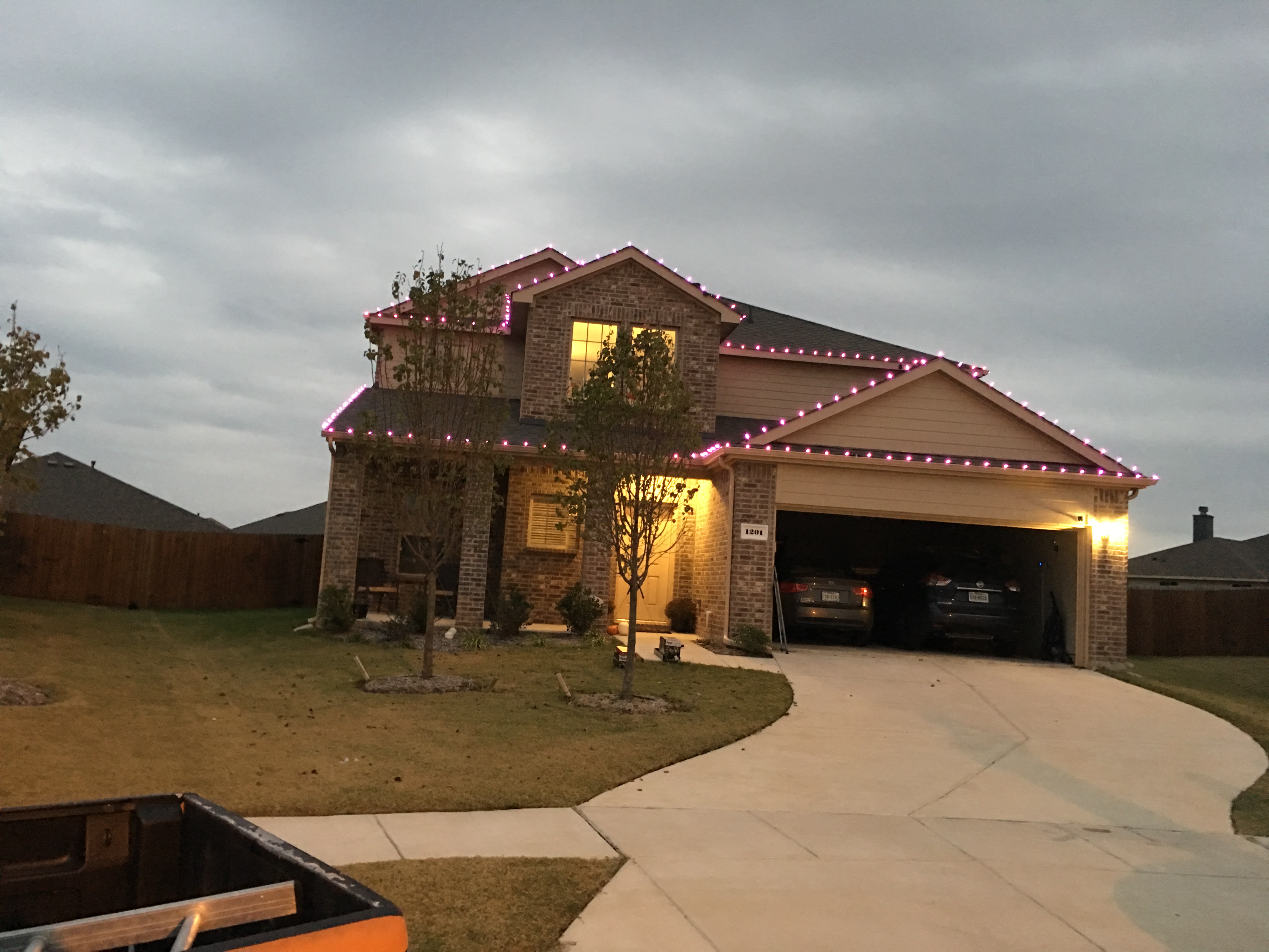 Christmas Light Installation
