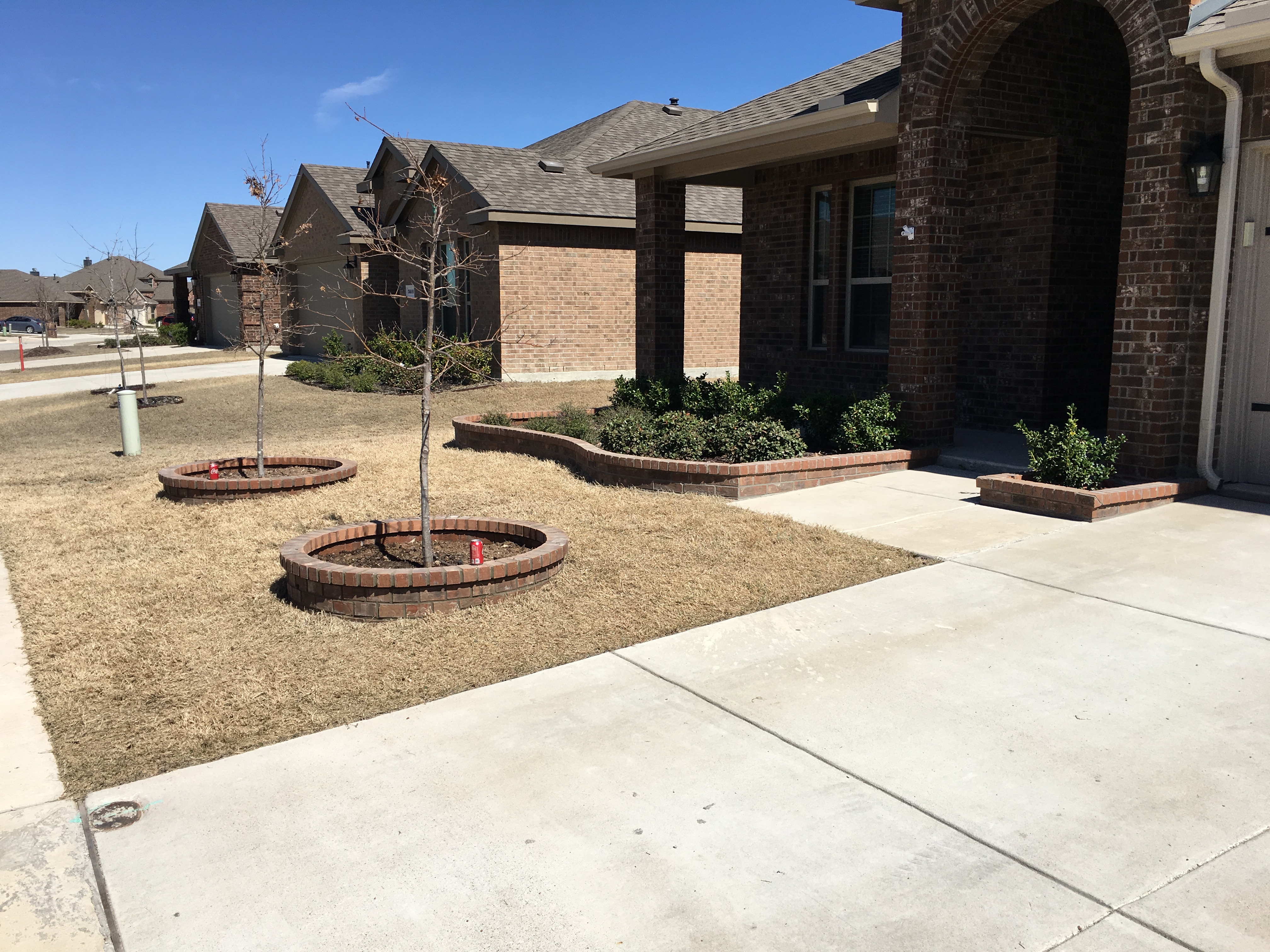 Landscaping project
