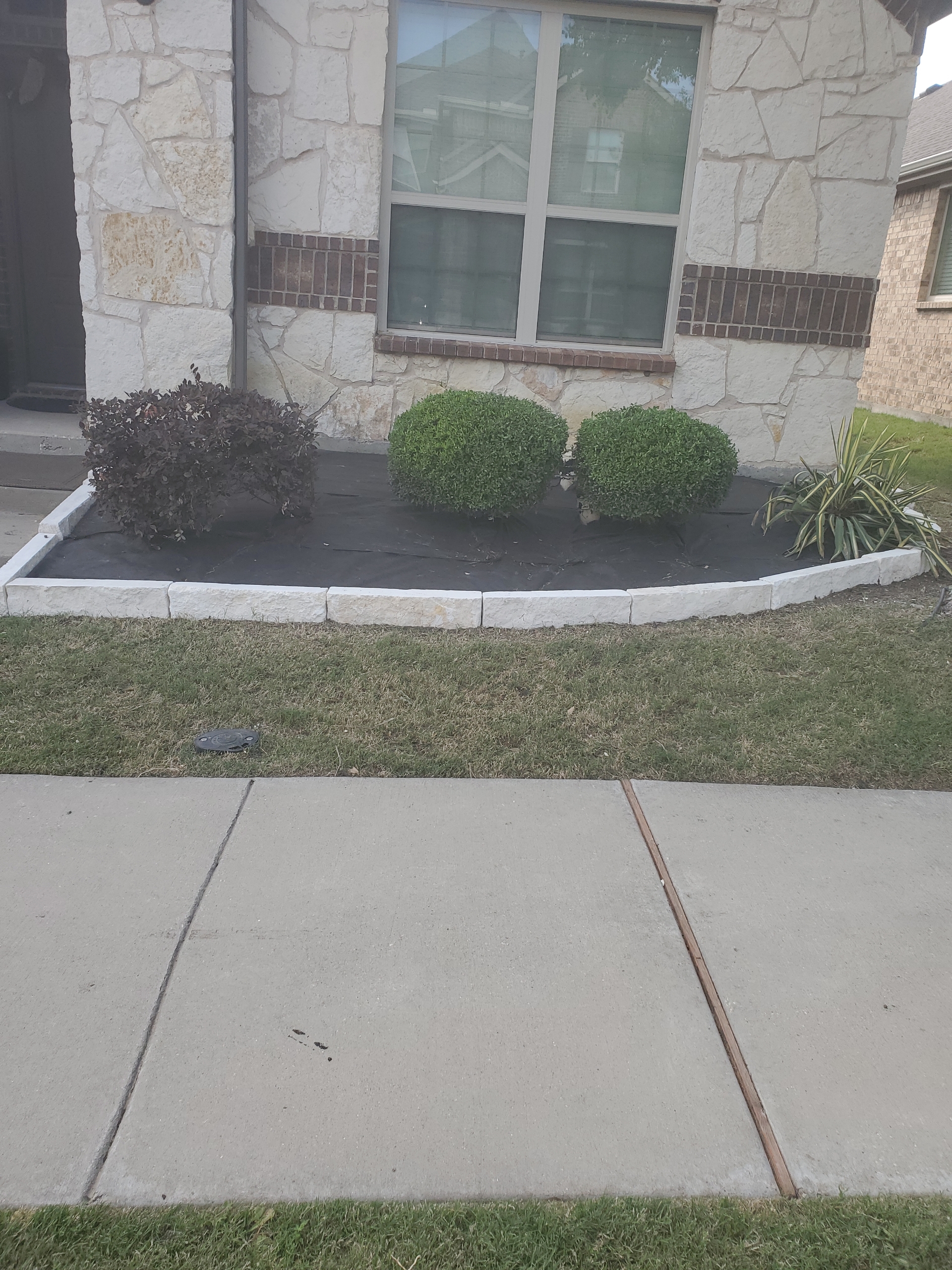 Landscaping project